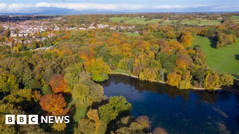 twitter public flashing|Women flashed at in spate of exposures in Leeds' Roundhay Park.